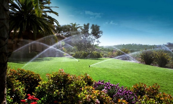 The Essential Guide to Irrigation Services